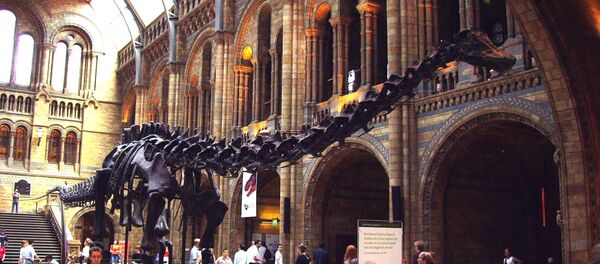 中国古生物学家的发现扭转进化论观点 中国古生物学家的发现扭转进化论观点 - 俄罗斯卫星通讯社