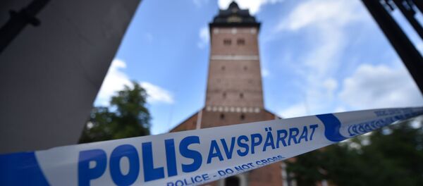 瑞典17世纪王室珍宝被盗 警方急寻目击者 - 俄罗斯卫星通讯社