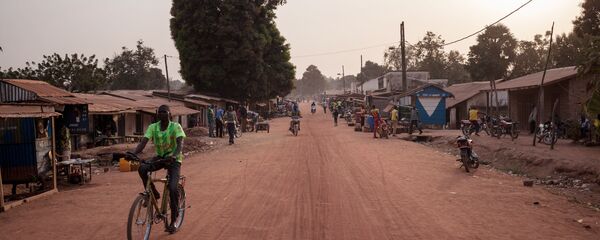 中非 中非 - 俄罗斯卫星通讯社