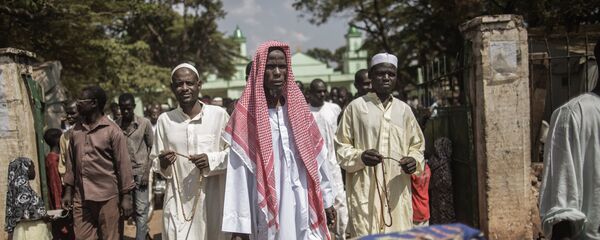 中非 中非 - 俄羅斯衛星通訊社