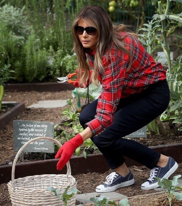 美国第一夫人梅拉尼亚 - 俄罗斯卫星通讯社