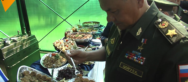 俄国防部长品尝多国野战美食 - 俄罗斯卫星通讯社