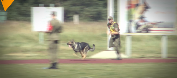 国际军事比赛-2018“忠诚朋友”项目 - 俄罗斯卫星通讯社