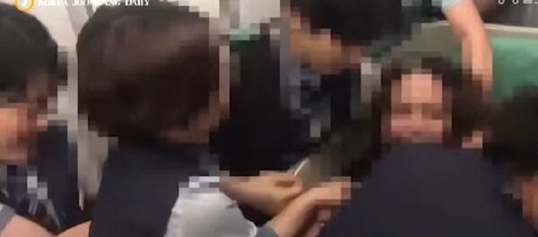 Драка пассажирки со стюардами - 俄羅斯衛星通訊社