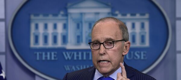 美国国家经济委员会主席：美国期待中国开始大规模购买美国农产品 - 俄罗斯卫星通讯社