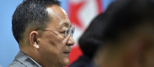 朝鲜外相李永浩 朝鲜外相李永浩 - 俄罗斯卫星通讯社