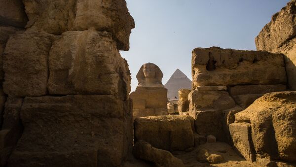 考古學家們在埃及南部發現獅身人面像 - 俄羅斯衛星通訊社