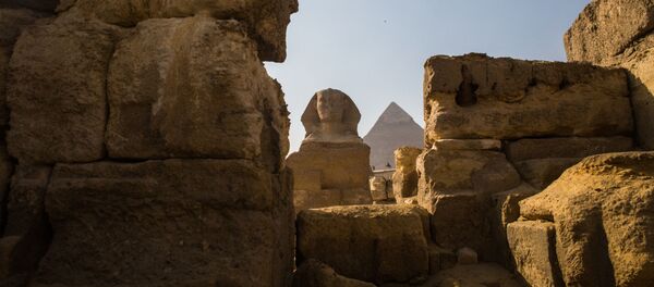 考古学家们在埃及南部发现狮身人面像 - 俄罗斯卫星通讯社