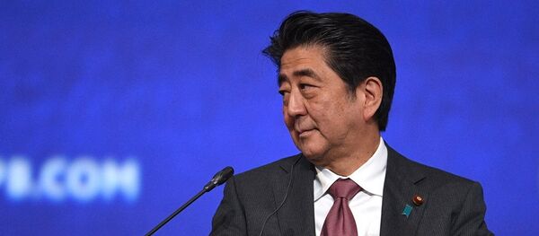 安倍访华有自身需求 但日本牵制中国的态度不会变化 - 俄罗斯卫星通讯社