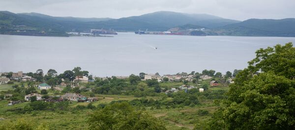 两只锈色绞口鲨入驻俄滨海边疆区水族馆 - 俄罗斯卫星通讯社