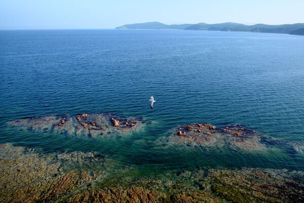 俄濱海邊疆區普提雅廷島 - 俄羅斯衛星通訊社