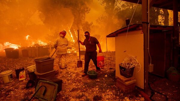 媒体：美国1.4万多消防员参与加州灭火 - 俄罗斯卫星通讯社