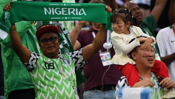尼日利亚花费约100万美元把世界杯后不愿离开俄罗斯的球迷接回国 - 俄罗斯卫星通讯社