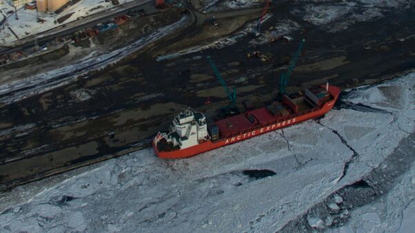 諾里爾斯克鎳船隊的集裝箱船 - 俄羅斯衛星通訊社