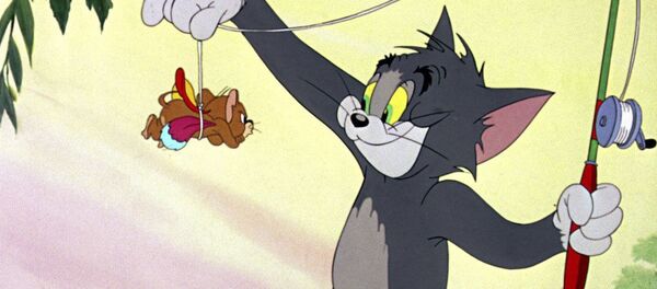 最著名的猫咪 - 俄罗斯卫星通讯社