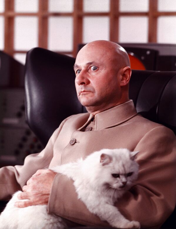 最著名的猫咪 - 俄罗斯卫星通讯社