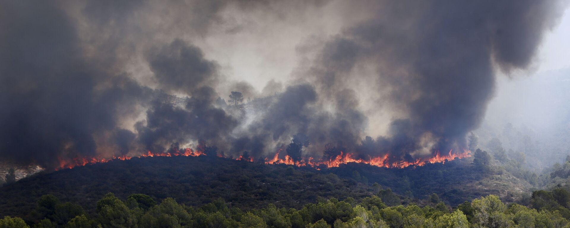 Spanish firefighters try to extinguish a wildfire in Pinet village, near Valencia - 俄罗斯卫星通讯社, 1920, 07.08.2025