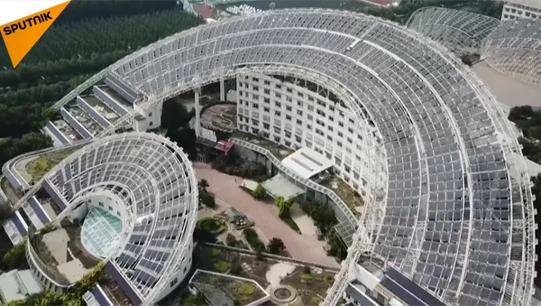 太陽能菜餚 - 俄羅斯衛星通訊社