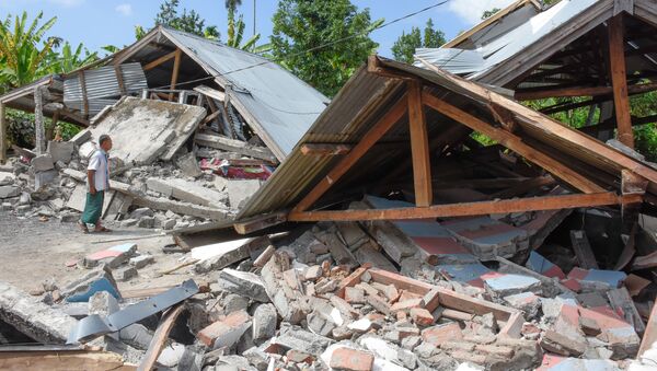 NASA专家评估印尼地震后果 - 俄罗斯卫星通讯社