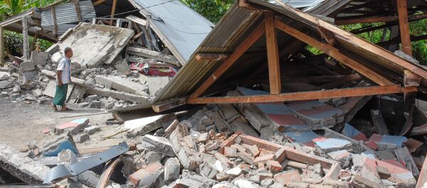 NASA专家评估印尼地震后果 - 俄罗斯卫星通讯社