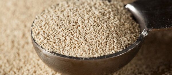 中國安琪酵母俄羅斯工廠將於本月底投產 - 俄羅斯衛星通訊社