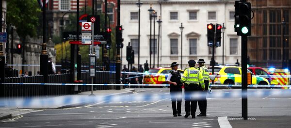 英国一辆汽车撞上议会大厦旁边的围栏 - 俄罗斯卫星通讯社