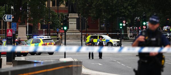 英国警方将汽车冲撞伦敦议会大厦旁安全护栏事件视为恐怖袭击 - 俄罗斯卫星通讯社