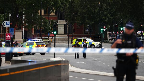 英国警方将汽车冲撞伦敦议会大厦旁安全护栏事件视为恐怖袭击 - 俄罗斯卫星通讯社