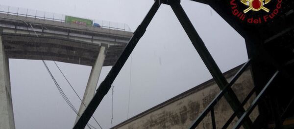 意大利 意大利 - 俄罗斯卫星通讯社