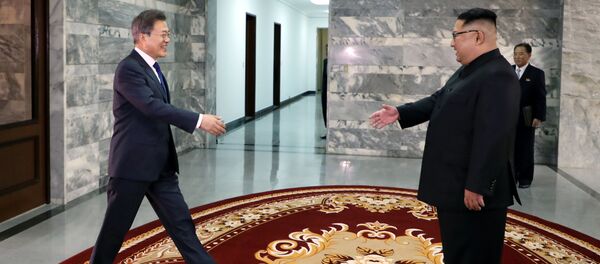 韓國專家認為普京能理解朝韓領導人為甚麼不出席東方經濟論壇 - 俄羅斯衛星通訊社