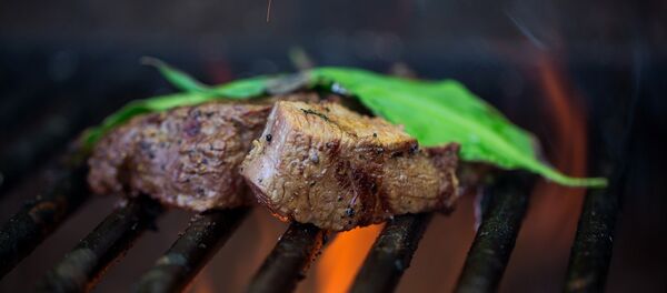 科學家稱燒烤對身體的傷害不亞於香煙 - 俄羅斯衛星通訊社