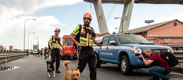 熱那亞事故橋梁設計師的其他作品因結構問題面臨坍塌威脅 熱那亞事故橋梁設計師的其他作品因結構問題面臨坍塌威脅 - 俄羅斯衛星通訊社