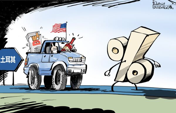 土耳其将22种美国进口商品的关税提高一倍 - 俄罗斯卫星通讯社