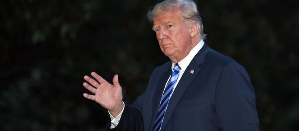 特朗普宣稱與墨西哥達成貿易協議 特朗普宣稱與墨西哥達成貿易協議 - 俄羅斯衛星通訊社