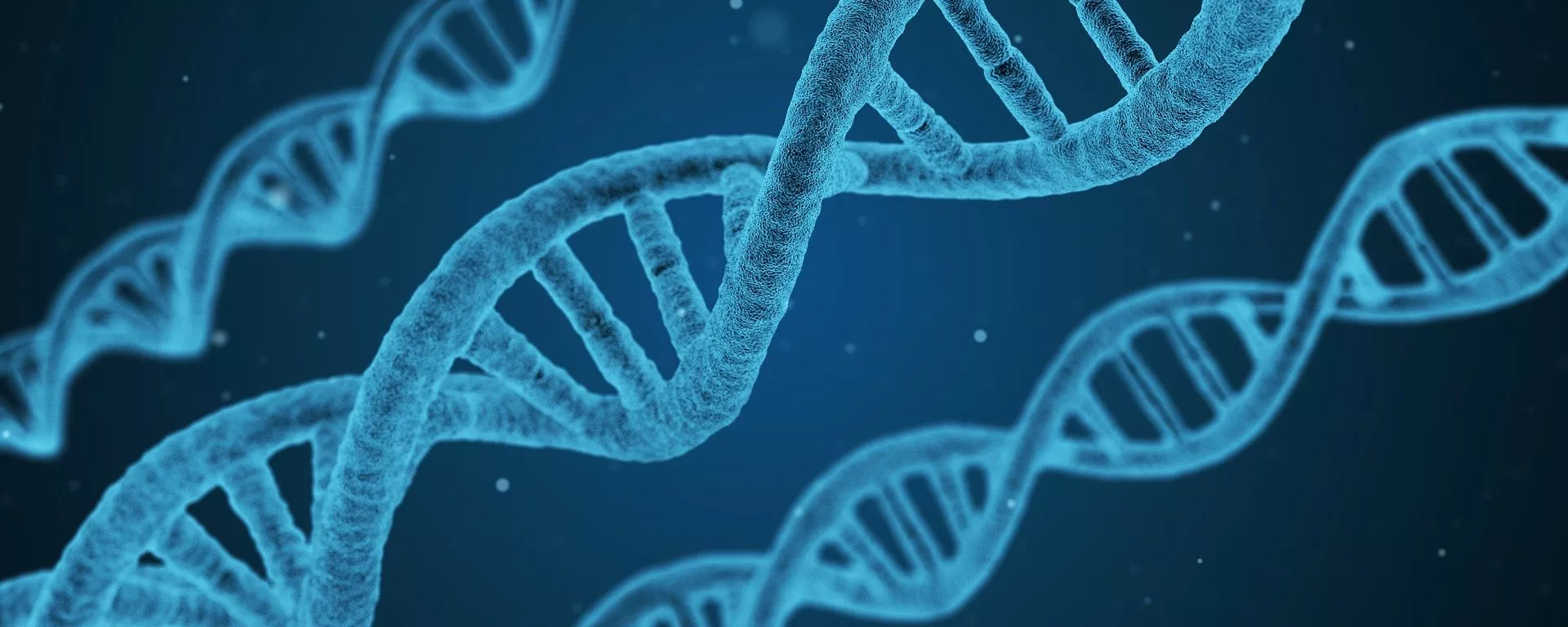 DNA - 俄羅斯衛星通訊社, 1920, 10.05.2023