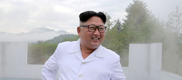 韩驻俄大使：金正恩或在年底前访韩 - 俄罗斯卫星通讯社