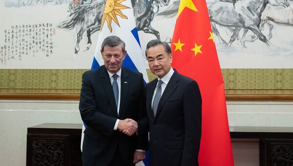 中国国务委员兼外交部长王毅19日在北京与乌拉圭外长尼恩举行会谈 - 俄罗斯卫星通讯社