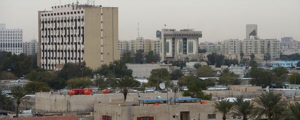 伊拉克判处第8名参加“伊斯兰国”的法国人死刑 - 俄罗斯卫星通讯社