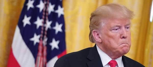 US President Donald Trump US President Donald Trump - 俄罗斯卫星通讯社