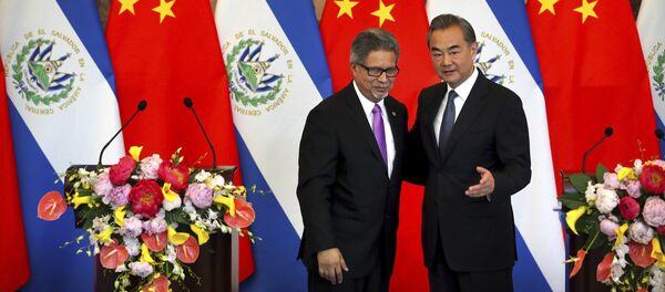 台湾邦交国数量减少的背后原因 台湾邦交国数量减少的背后原因 - 俄罗斯卫星通讯社