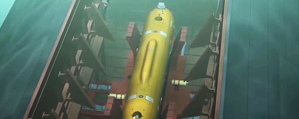 俄军事专家：“波塞冬”无人潜航器非侵略性武器  仅用于反击 - 俄罗斯卫星通讯社