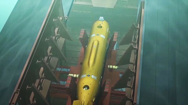 俄罗斯“波塞冬”水下无人机今夏开始运行试验 - 俄罗斯卫星通讯社