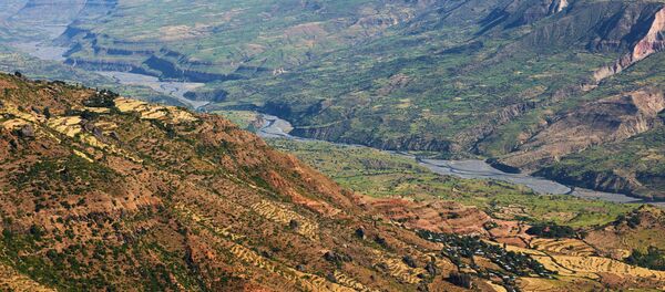 专家:举行俄罗斯-非洲峰会的必要性早已成熟 专家:举行俄罗斯-非洲峰会的必要性早已成熟 - 俄罗斯卫星通讯社