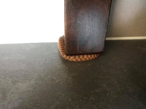 最難的蛇謎題讓網民束手無策 - 俄羅斯衛星通訊社