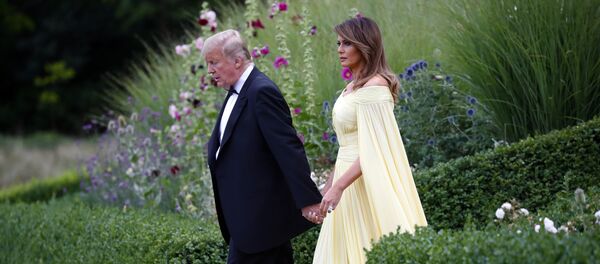 网络用户注意到特朗普和梅兰尼娅不是“真” 牵手 - 俄罗斯卫星通讯社