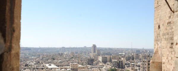 俄外交部：武装袭击阿勒颇是意图破坏叙利亚正常化进程 - 俄罗斯卫星通讯社