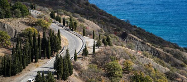 德政治家将克里米亚与德国统一后的柏林进行比较 - 俄罗斯卫星通讯社