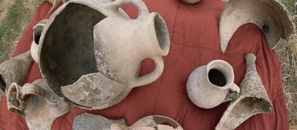 双耳瓶 - 俄罗斯卫星通讯社