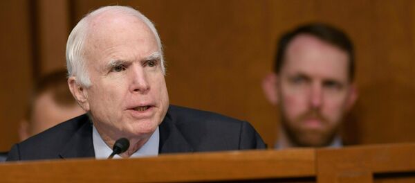 美国会民主党领袖提议将参议院一座建筑改名以纪念麦凯恩 - 俄罗斯卫星通讯社