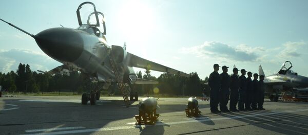 沙戈爾空軍基地航空展 - 俄羅斯衛星通訊社